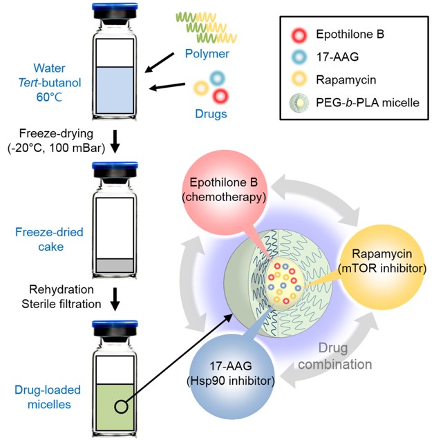 Nanotechnology-based drug delivery systems