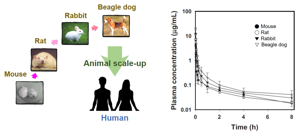 Interspecies scaling