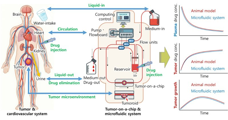 Animal replacement technologies